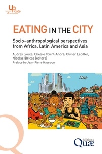 Audrey Soula et Chelsie Yount-andré - Eating in the city - Socio-anthropological perspectives from Africa, Latin America and Asia.