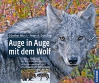 Auge in Auge mit dem Wolf - 20 Jahre unterwegs mit frei lebenden Wölfen.