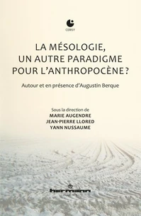 La mésologie, un autre paradigme pour l'anthropocène ?