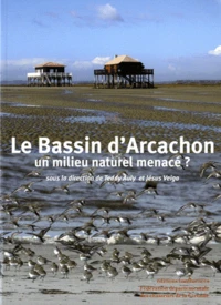 Le Bassin d'Arcachon