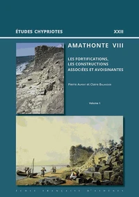 Amathonte VIII