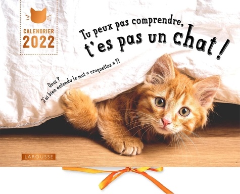 Calendrier Tu Peux Pas Comprendre T Es Pas Un De Aurelie Lemoine Grand Format Livre Decitre