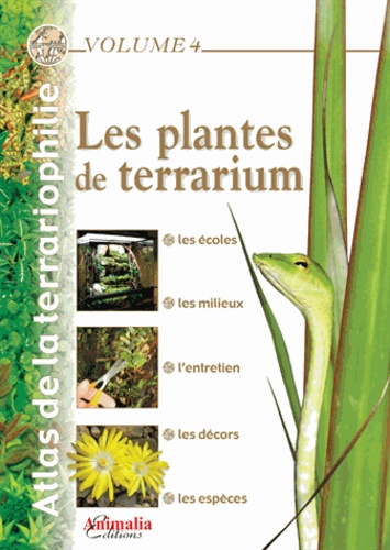 Aurélien Bour - Les plantes de terrarium.