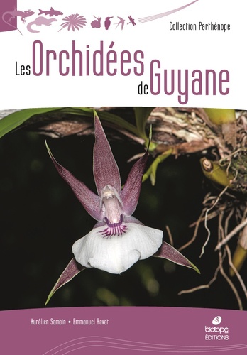 Les orchidées de Guyane