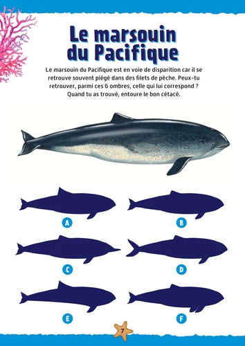 Animaux marins. Avec 100 stickers