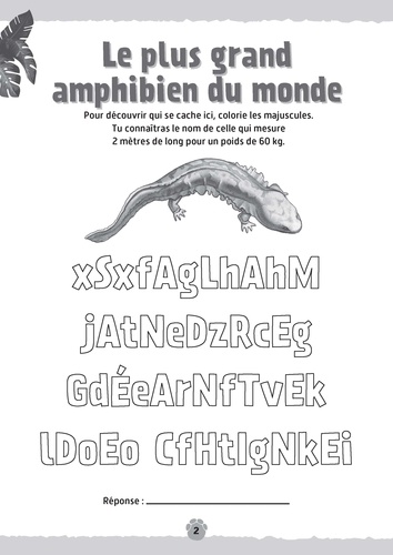 Mon bloc de jeux records des animaux