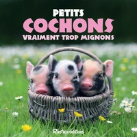 Petits cochons vraiment trop mignons