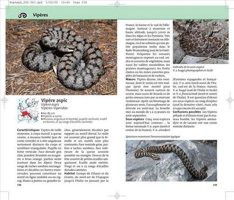 Reptiles et amphibiens d'Europe