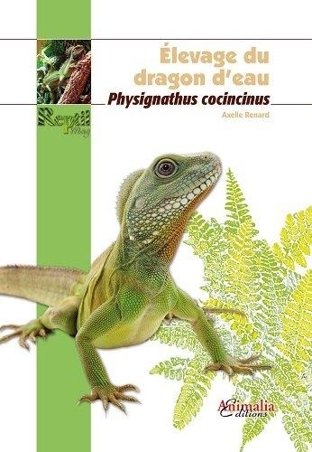 Axelle Renard - Elevage du dragon d'eau - Physignathus cocincinus.