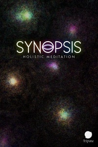  Ayham Kader - Synopsis: Holistic Meditation - Holistic Dialogue &amp; Meditation.