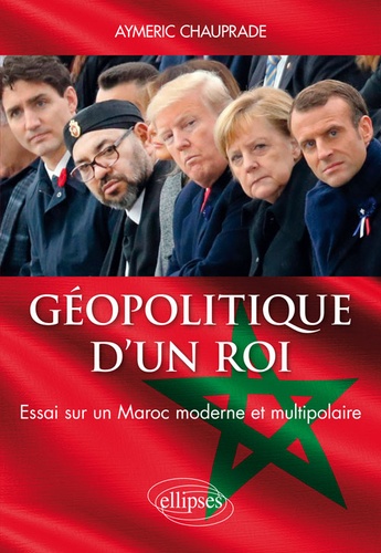 Géopolitique d'un roi. Essai sur un Maroc moderne et multipolaire
