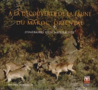 A la découverte de la faune du Maroc oriental