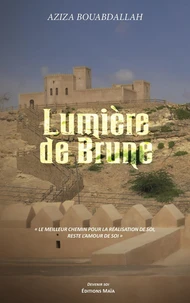 Lumière de brune