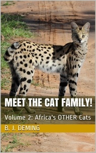  B. J. Deming - Meet the Cat Family!:  Africa's Other Cats - Meet The Cat Family!.