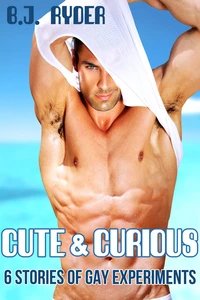 Cute and Curious Six Stories of Gay Experiments