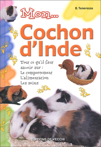 B Tenerezza - Mon cochon d'Inde.