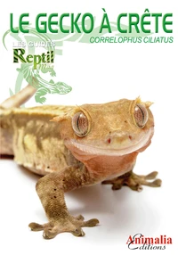 Le gecko à crête