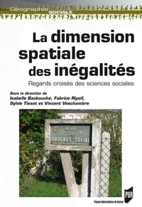 La dimension spatiale des inégalités
