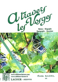 A travers les Vosges