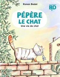 Une vie de chat
