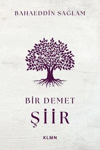 Bir Demet Şiir