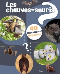 Les chauves souris
