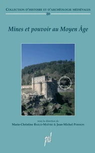 Mines et pouvoir au Moyen Age