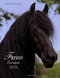 Frison