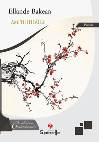 Amphithéâtre