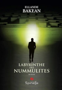 Labyrinthe des nummulites