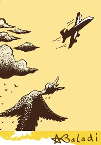 Rien de canard