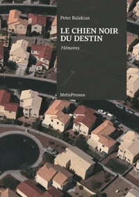 Le chien noir du destin