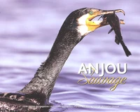 Anjou Sauvage