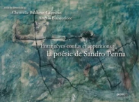 Entre rêves confus et apparitions : la poésie de Sandro Penna