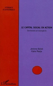 Le capital social en action