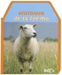  Ballon - Animaux de la ferme.