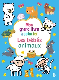Mon grand livre à colorier