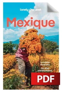 Mexique