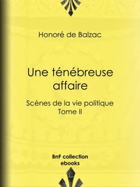 Une ténébreuse affaire