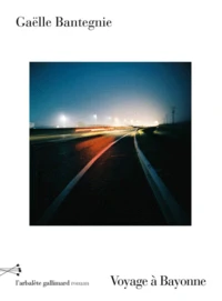 Voyage à Bayonne