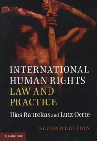 International Human Rights Law and Practice