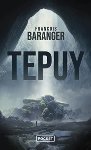 Tepuy