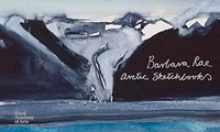 Barbara Rae - Arctic sketchbooks.
