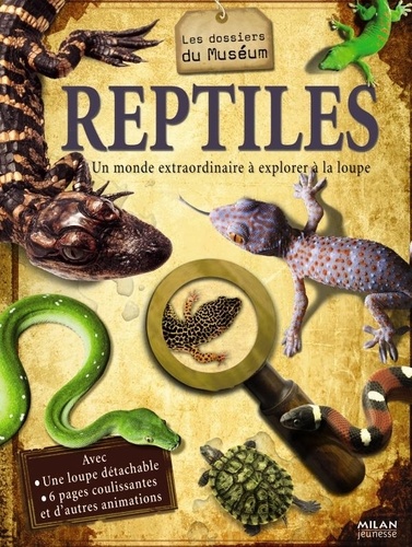 Barbara Taylor - Reptiles.