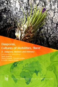 Diasporas, Cultures of Mobilities, 'Race'