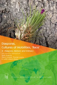 Diasporas, Cultures of Mobilities, 'Race'