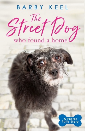 The Street Dog Who Found a Home. A Foster Tails Story