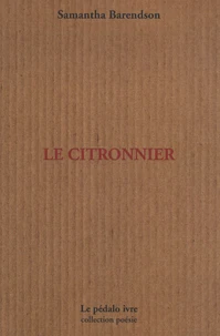 Le citronnier