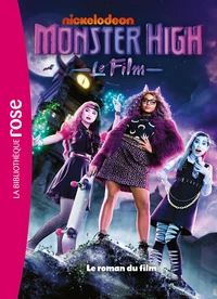 Le roman du film