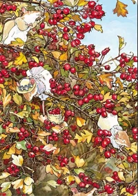 Carnet Automne Les Souris du Buisson aux mûre